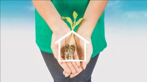 Lee más sobre el artículo Cómo es el mercado de viviendas sustentables en España